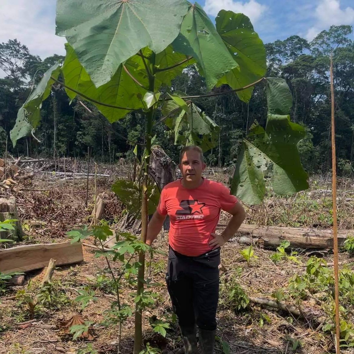 Amazon Growing Trees