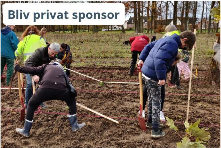 Sponsor - Growing Trees